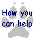How you can help